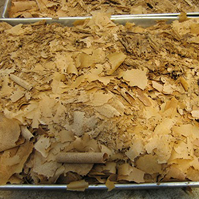 Secador de raspador de rolos HG